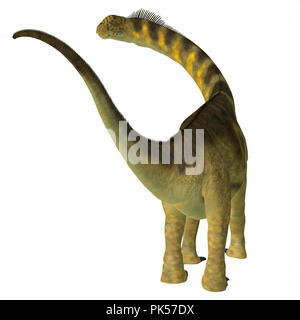 Dinosauro Camarasaurus Coda - Camarasaurus era un erbivoro sauropod dinosaur che ha vissuto in Nord America durante il Giurassico. Foto Stock