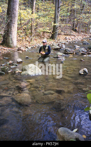 OutdoorSports12 121802 -- la pesca a mosca sul Piney fiume nel Parco Nazionale di Shenandoah, Virginia. Foto Stock