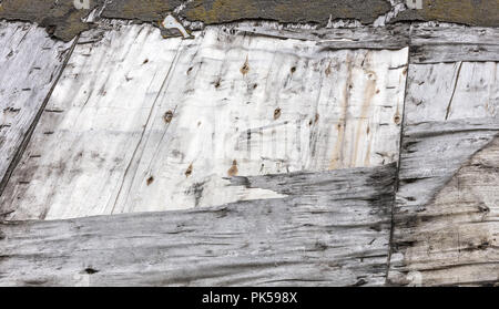 Addolorato weathered compensato grigio texture di superficie. shabby macchiato e incrinato sfondo di impiallacciatura Foto Stock