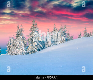 Coloratissima scena invernale in montagna innevata. Neve fresca a frosty mattina incandescente prima luce del sole. Instagram tonificante. Foto Stock