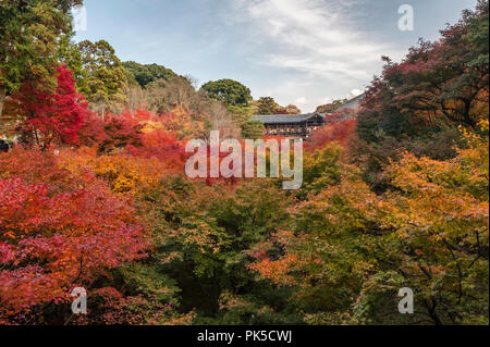 Tofuku-ji, Kyoto, Giappone. La folla si raccolgono sul famoso Tsuten-kyo Ponte in autunno per visualizzare i brillanti colori dell'acero nella valle sottostante Foto Stock