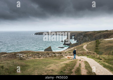 Un dog walker e i suoi cani a sud ovest il percorso costiero che si affaccia Bedruthan Steps in Cornovaglia. Foto Stock