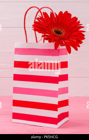 Rosso gerbera daisy fiore in striped shopping bag. Close up. Rosa sullo sfondo di legno. Foto Stock