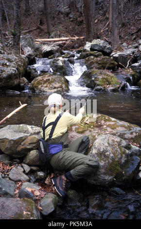 OutdoorSports12 121802 -- la pesca a mosca sul Piney fiume nel Parco Nazionale di Shenandoah, Virginia. Foto Stock