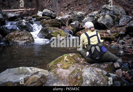 OutdoorSports12 121802 -- la pesca a mosca sul Piney fiume nel Parco Nazionale di Shenandoah, Virginia. Foto Stock