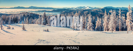 Panorama sul soleggiato inverno mattina nelle montagne dei Carpazi Foto Stock