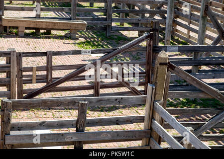 Vuoto in legno vecchio bovini penne a Fort Worth Stockyards, Texas. Posizione orizzontale Foto Stock