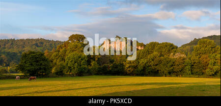 Il Castello di Dunster, Somerset, Inghilterra, Regno Unito Foto Stock