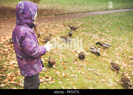 Bambina alimenta le anatre su una costa di stagno in pubblico autunno park Foto Stock