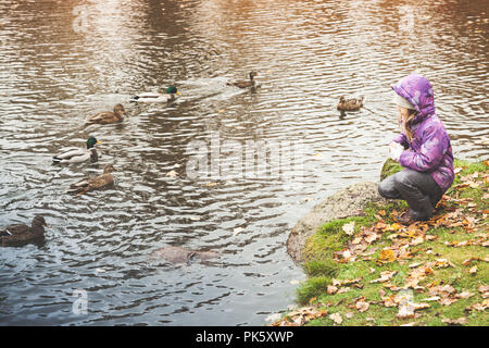 Udienza bambina alimenta le anatre sul lago di costa nel parco di autunno Foto Stock