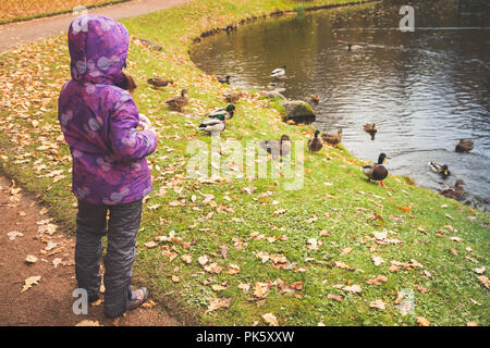 Bambina alimenta le anatre su una costa di stagno in pubblico autunno park Foto Stock