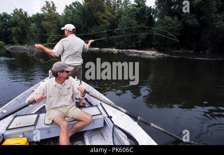 OutdoorSports13 121802 -- la pesca a mosca per la piccola bocca bassi sul fiume Potomac, Virginia. Foto Stock