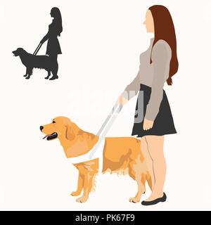 Cane di assistenza con cablaggio bianco. Golden Retriever e donne cieche su sfondo bianco. Donna che mantiene il cane guida sul sistema di cavi e la loro silhouette. Illustrazione Vettoriale