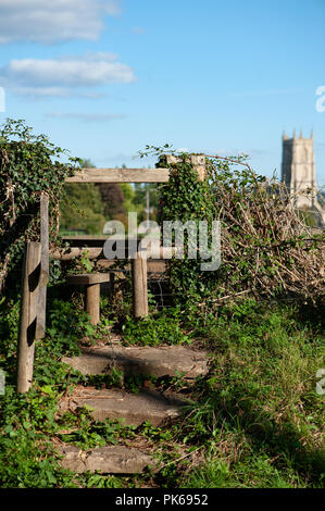 Coperto di edera piede legno stile in Steeple Ashton, Wiltshire, Regno Unito mostra campanile in background. Foto Stock