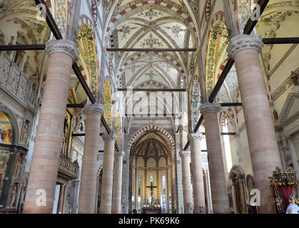 All'interno della chiesa di sant'anastasia verona Italia Foto Stock