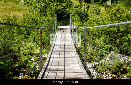 Appendere in legno ponte che conduce in avanti sopra il verde fiume di montagna. Idilliaco fiume di montagna - valle Lepena, Soca - Bovec, Slovenia. Bellissimo paesaggio s Foto Stock