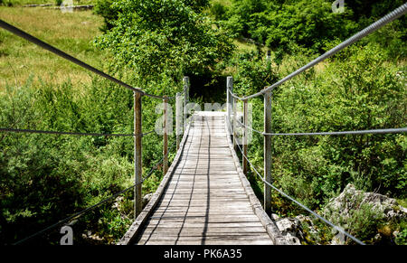 Appendere in legno ponte che conduce in avanti sopra il verde fiume di montagna. Idilliaco fiume di montagna - valle Lepena, Soca - Bovec, Slovenia. Bellissimo paesaggio s Foto Stock