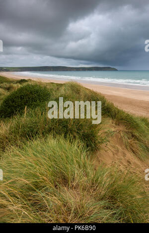 Le dune di sabbia che si affaccia Woolacombe sabbia sulla North Devon costa, Inghilterra. Foto Stock