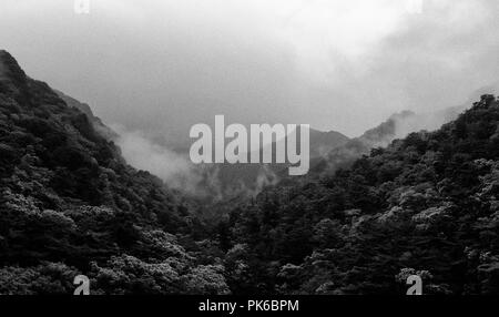 Nebbia di rotolo, lievitazione e nube oltre la fitta foresta lussureggiante di Myohyang montagne del Nord provincia Pyonggan, Corea del Nord, infrarosso effetto Foto Stock