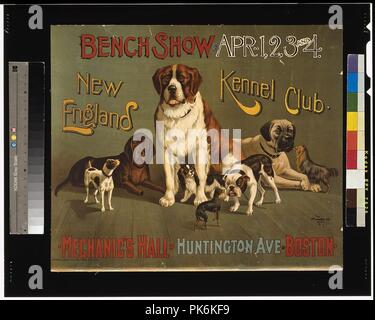 Panca show. New England Kennel Club Foto Stock