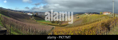 Piemonte vigneti in autunno dopo il raccolto Foto Stock