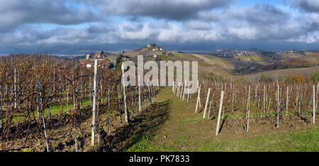 Piemonte vigneti in autunno dopo il raccolto Foto Stock