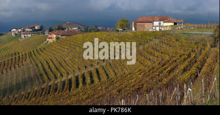 Piemonte vigneti in autunno dopo il raccolto Foto Stock