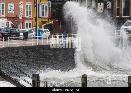 Aberystwyth Wales UK, martedì 11 settembre 2018. Regno Unito: Vento, un alta marea e guida sotto la pioggia lo rendono un umido e blustery per iniziare la giornata in Aberystwyth su Cardigan Bay costa del Galles occidentale. Il Regno Unito si aspetta la coda dell uragano Florence, che si sta andando verso la USA orientale con la feroce energia , per influenzare le isole britanniche per il prossimo fine settimana. Foto © Keith Morris / Alamy Live News Foto Stock