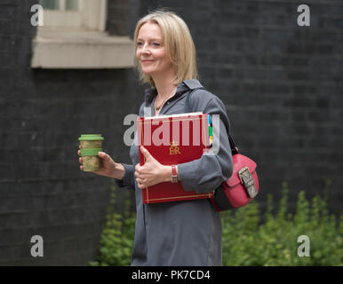 A Downing Street, Londra, Regno Unito. 11 settembre 2018. Elizabeth Truss, Primo Segretario al Tesoro a Downing Street per settimanale riunione del gabinetto. Credito: Malcolm Park/Alamy Live News. Foto Stock