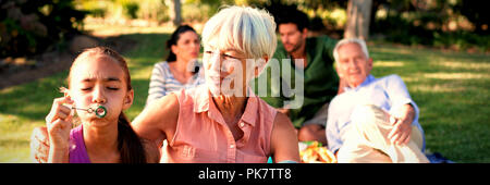 Gran Madre guardando il suo nipote soffiare bolle nel parco Foto Stock