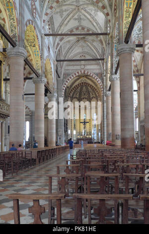 All'interno della chiesa di sant'anastasia verona Italia Foto Stock