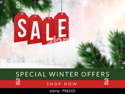 Inverno vendita rami del fir in background Foto Stock