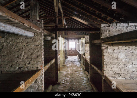 Auschwitz, Polonia - 16 Febbraio 2018: interno della caserma della Auschwitz Birkenau Campo di Concentramento Foto Stock