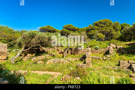 Rovine di Tipasa, una colonia romana in Algeria, Nord Africa Foto Stock