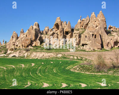 Grotte scavate nella roccia di formazioni con erba verde e un cielo blu a Goreme Foto Stock