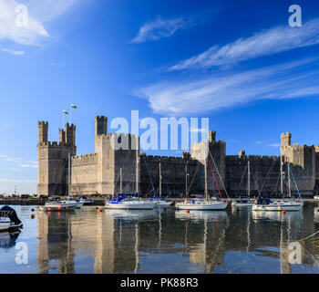 Caernarfon Castle Caernarfon Gwynedd in Galles Foto Stock