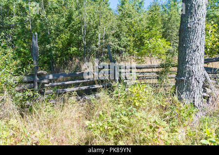 Split sovradimensionate rampa fattoria di cedro recinto sul isola Manitoulin sfondo Foto Stock