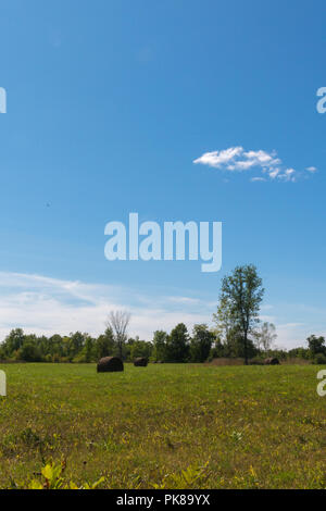 Pleaceful sunny blue sky hayfield con balle rotonde sull isola Manitoulin Foto Stock