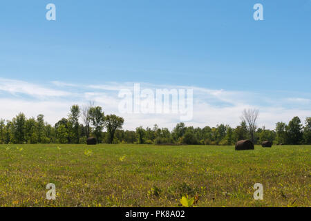Pleaceful sunny blue sky hayfield con balle rotonde sull isola Manitoulin Foto Stock