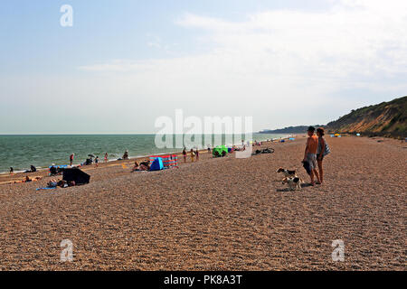 La spiaggia di ciottoli a Dunwich Heath, Suffolk, Regno Unito Foto Stock