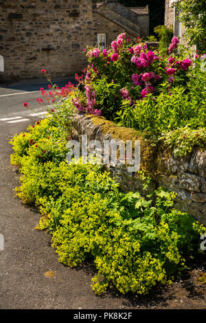 Regno Unito, Yorkshire, Wharfedale, Starbotton, attraente floral piantagione di Beckside house Foto Stock