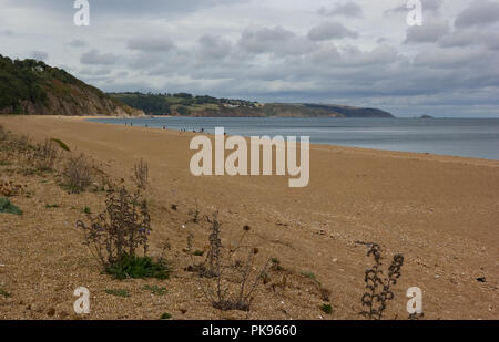 Una vista di Gate Strete beach, avviare Bay, South Devon Foto Stock