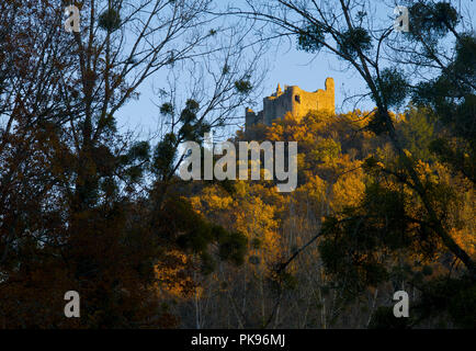 Il castello medievale di Najac, Aveyron, Occitanie, Francia prese dall'Aveyron valle attraverso alcuni alberi con uccelli' nidi nel sole di autunno Foto Stock