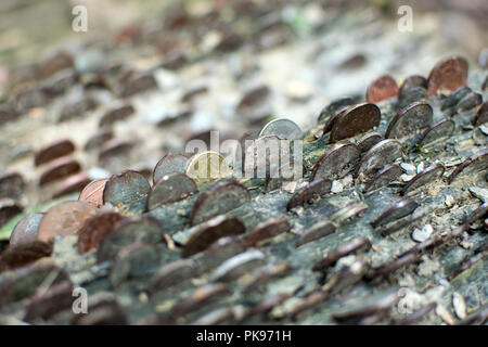 Le monete in un desiderio Tree Tree - St Nectans Glen, Cornwall Regno Unito Foto Stock