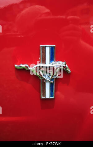 Mustang logo del veicolo Foto Stock