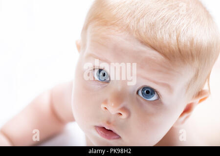 Adorabili neonato bay con grandi occhi blu staring curiosamente nella fotocamera in un vicino fino ad alto ritagliata ritratto della chiave Foto Stock