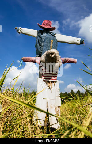 Lo Spaventapasseri nel campo in Chiang Mai Thailandia Foto Stock