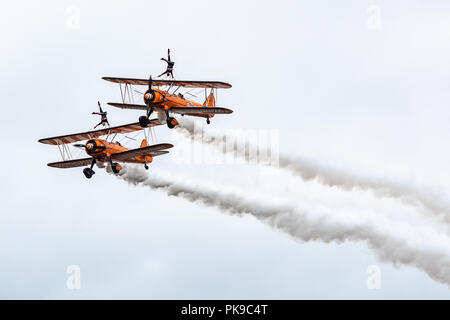 Wingwalkers eseguire le verticali come loro Boeing Stearman biplani volare in stretta formazione Foto Stock