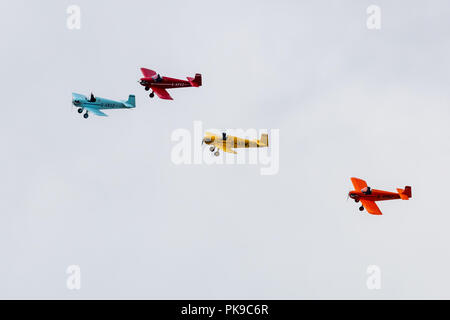 Un display a colori di voli in formazione dal Tiger Club la turbolenta Display Team nel loro, Roger Druine costruito, D31 turbolento di monoposto. Foto Stock