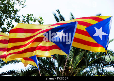 Primo piano di alcuni estelada, catalano di pro-indipendenza bandiera, tessitura nel cielo Foto Stock